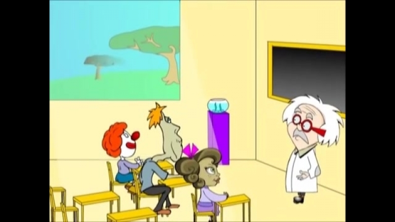 Pr toto aktivitäten tiere