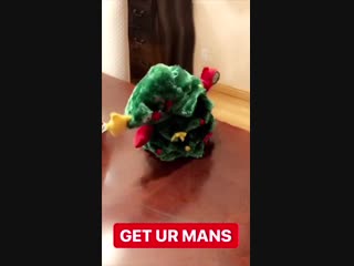 Demi lovato via sirah’ instagram story