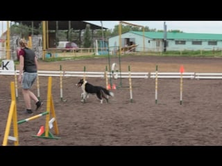 Оля и рио опен