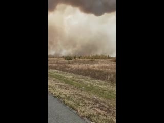 Видео от сатира без позитива / новости с овощебазы