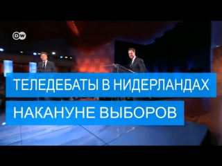 Накануне выборов в нидерландах удастся ли вилдерсу стать премьером?