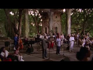 Afro cuban all stars amor verdadero (live at the salon of dreams)