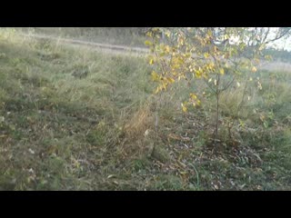 Vid 20200917 181303 mp4