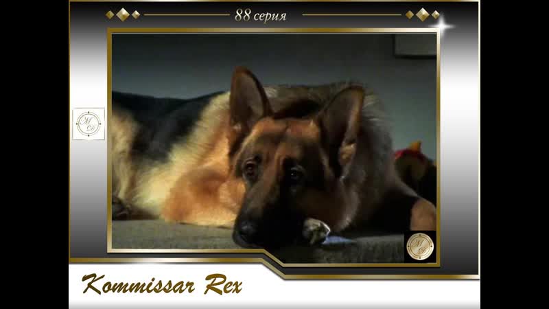 Komissar rex 7x10 strahlen der rache / комиссар рекс 88 серия лучи мести