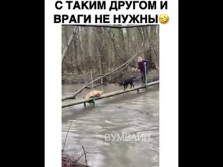 Помог собрату