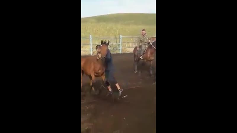 Қазақ жігіті