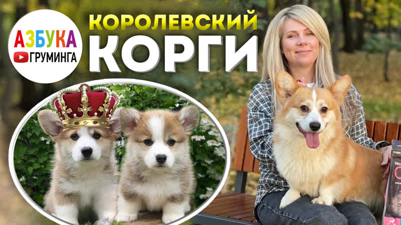 Любительское порно: Королевский Миньет крупным планом видео (страница 9)