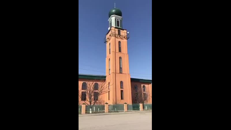 Система оповещения mp4