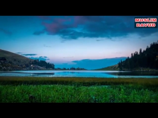 История плотника и мясника