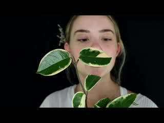 [madi asmr] asmr relaxing botanist roleplay 🌿