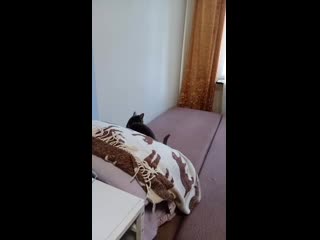 Video 20210305 132255 mp4