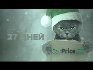 27dec carprice cat