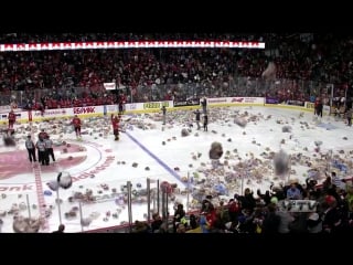 2015 calgary hitmen teddy bear toss goal hd