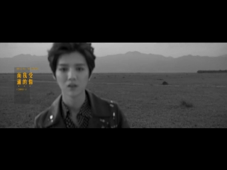 Luhan (鹿晗) medals (勋章) mv2 0(music ver )