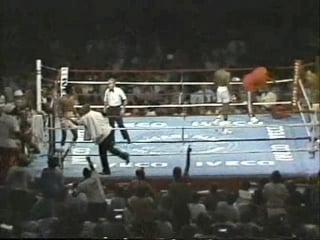 1981 sugar ray leonard vs tommy hearns fight of the year