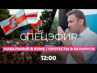 Отравление навального нашли сильнодействующий яд? / протесты в беларуси последние новости дождь