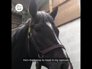 Farrier eugene has been a big part of the andrew balding team for a fair time and is hoping kameko can wear his shoes