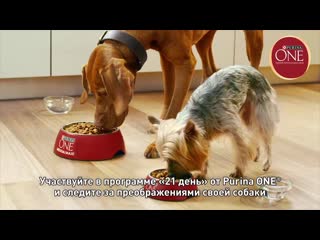 Purina one®