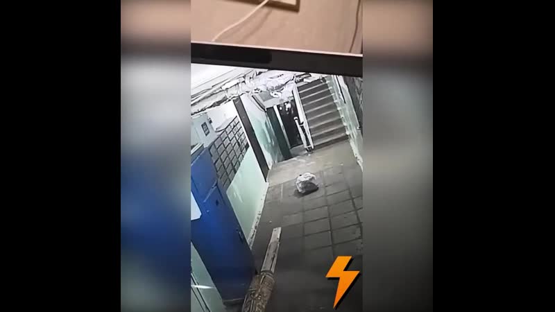 В якутском городе мирный охуевшая свинота поленилась дойти до бака и оставила мусор прямо в подъезде