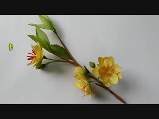 Diy how to make paper flower yellow apricot blossom làm hoa mai giấy nhún