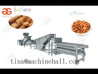 Almond shelling machine|apricot kernel sheller working video