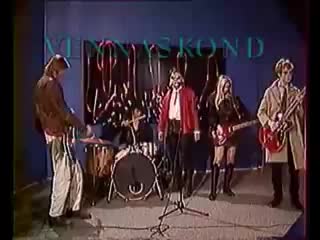 Vennaskond malemaja staar