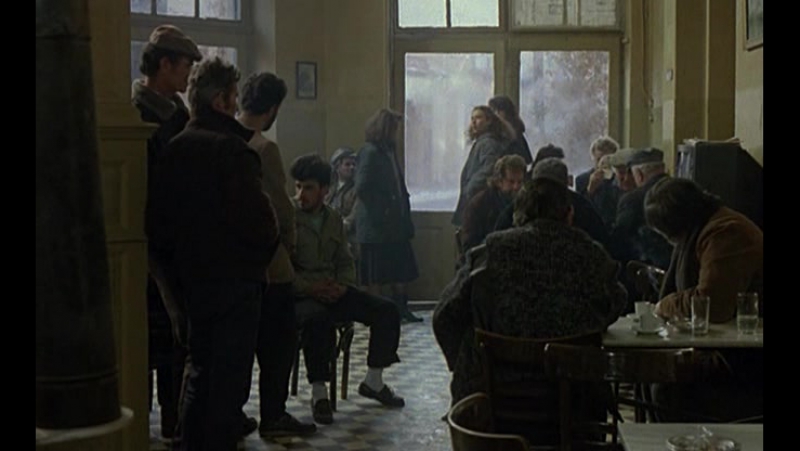 Прерванный шаг аиста (1991)