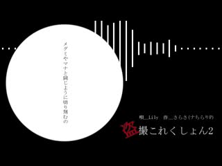 【lilyオリジナル曲】♰盗撮これくしょん2♰【ヤンデレシャッホー】