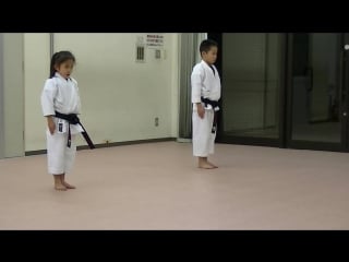 Heian shodan godan and tekki shodan