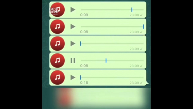 Дагестанский вотс апп