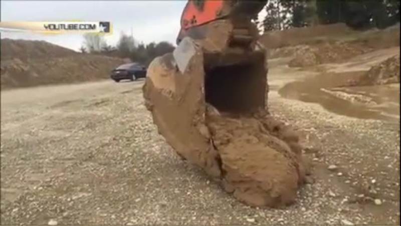 Экскаваторщик вытащил ковшом застрявшего в грязи олененка