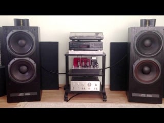 Cindy lauper i drove all night