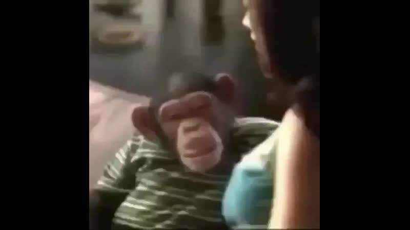 Ержан пикапер [рофлы и панчи]