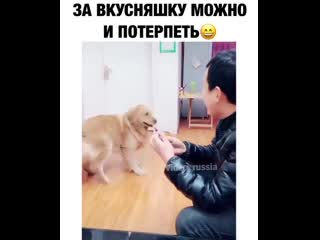 Ну ради усняшек можно и потерпеть