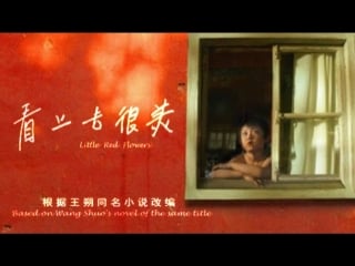 Маленькие красные цветы / kan shang qu hen mei / 2006 / юань чжан