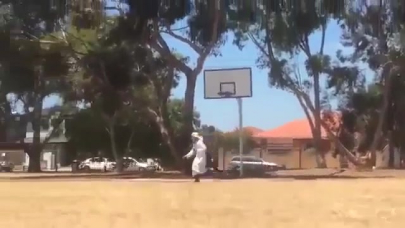 Пранкеры совсем обнаглели