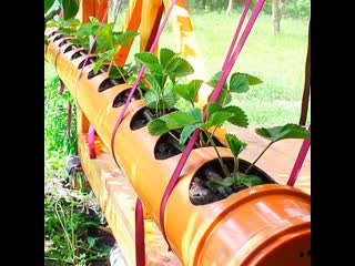 Moya dacha dachnaya zhizn