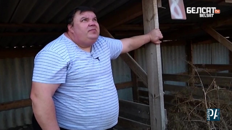 Улады забралі ў чалавека 250 свінняў і забілі