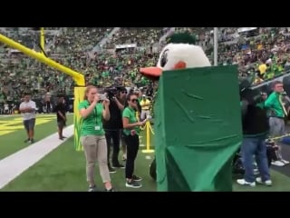 Im a sick duck my feathers don’t pluck