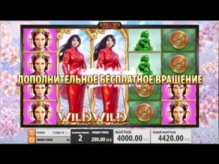 Sakura fortune big win с 4 спинов