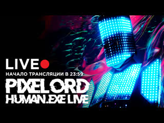 Pixelord / 16 tons / live