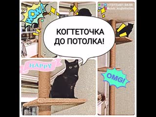 Джутовая когтеточка с двумя полочками