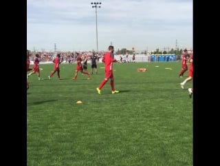 Тренироа "торонто"