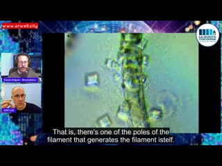 Dr josé luis sevillano on strange tentacle like "life form" found in pfizer vaccine ( orwellito, february 23, 2022 )