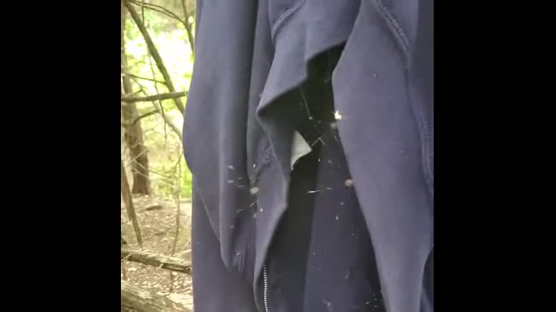 Паучки 2ch webm