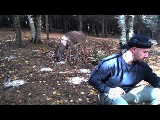 Monarke live from quebec, canada (october 2020)