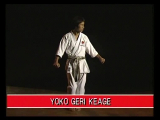 Yoko geri keage