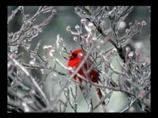 Deepak chopra feat demi moore desire