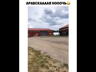 Video povezlo 1614538116510616 mp4