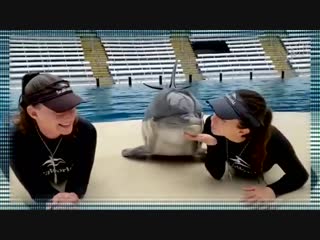 Dolphin kisses girls дельфин целует девушек